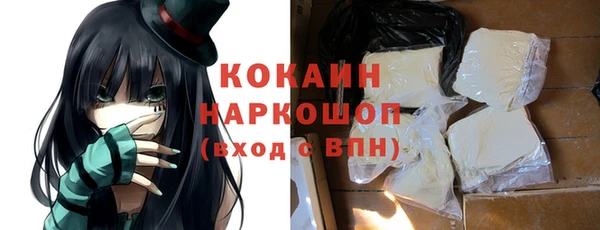 гашик Надым
