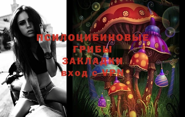 гашик Надым