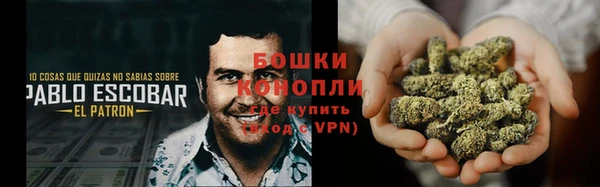 гашик Надым