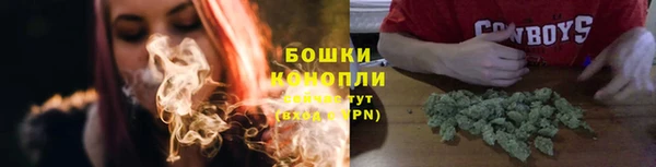 гашик Надым